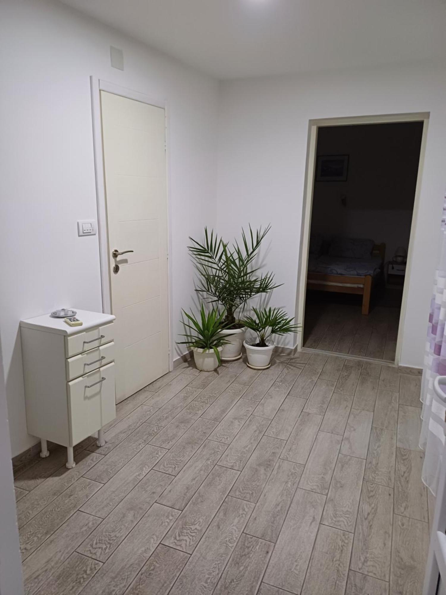 Apartman “Sanja” ピロト エクステリア 写真